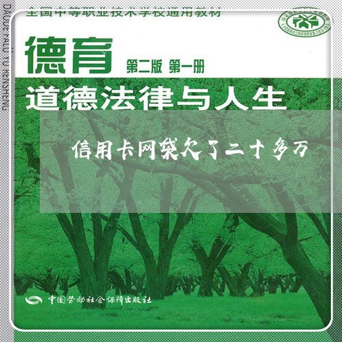 信用卡网袋欠了二十多万 信用卡网袋欠了二十多万