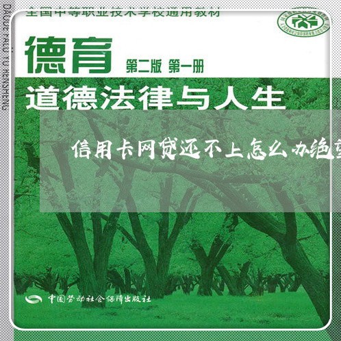 信用卡网贷还不上怎么办绝望了/2023022776091