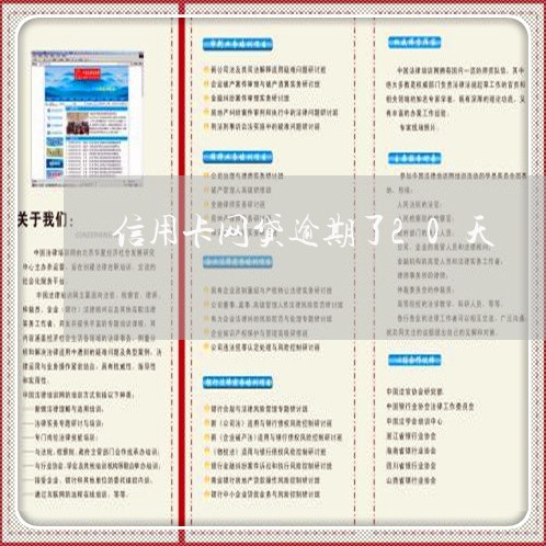 信用卡网贷逾期了20天/2023060448390