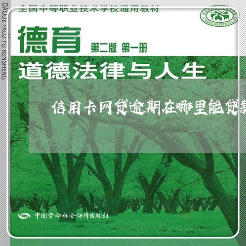 信用卡网贷逾期在哪里能贷款