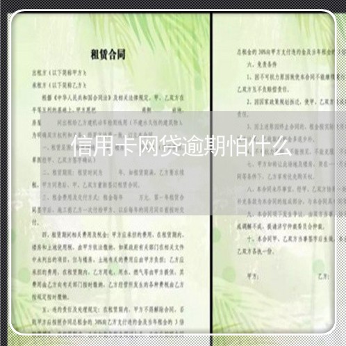 信用卡网贷逾期怕什么/2023061651692