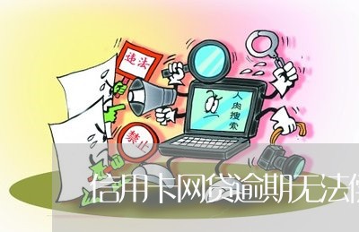 信用卡网贷逾期无法偿还/2023032430683