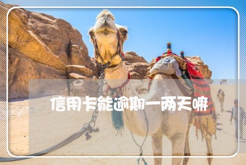 信用卡能逾期一两天嘛 信用卡能逾期一两天嘛