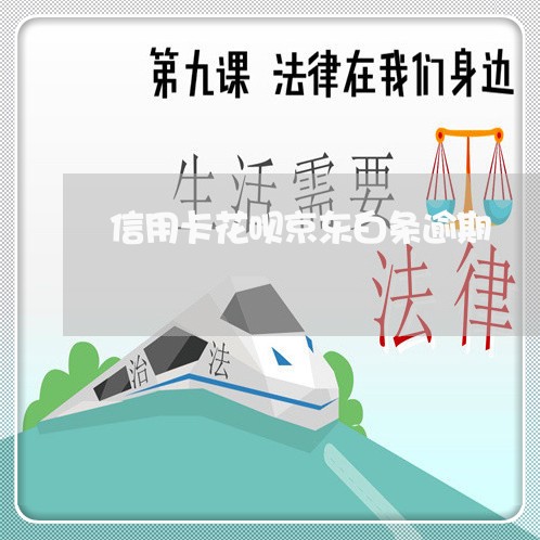 信用卡花呗京东白条逾期 信用卡花呗京东白条逾期