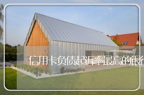 信用卡负债起诉率最高的银行 信用卡负债起诉率最高的银行