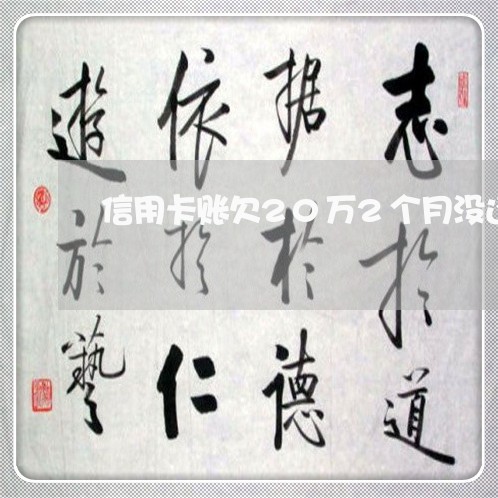 信用卡账欠20万2个月没还 信用卡账欠20万2个月没还