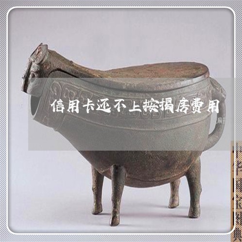 信用卡还不上按揭房费用