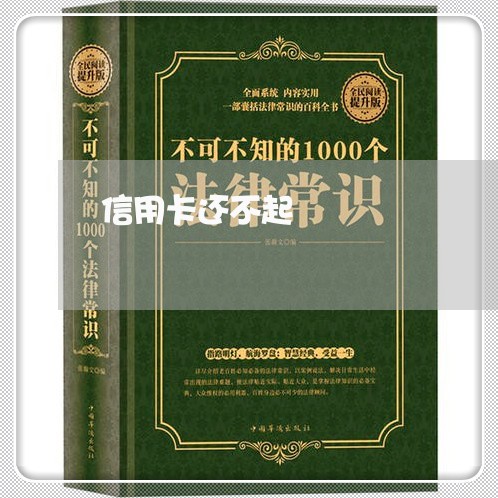 信用卡还不起/2023030104048