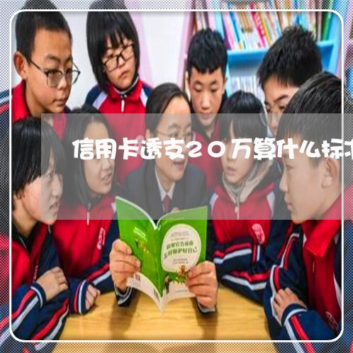 信用卡透支20万算什么标准