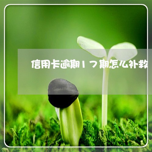 信用卡逾期17期怎么补救/2023041891515