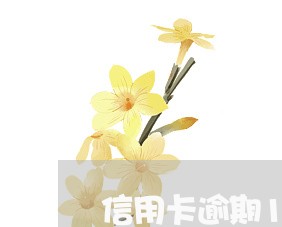 信用卡逾期18个月后果 信用卡逾期18个月后果