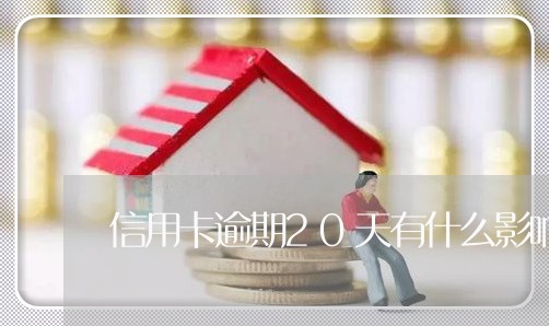 信用卡逾期20天有什么影响吗 信用卡逾期20天有什么影响吗
