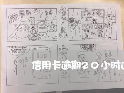 信用卡逾期20小时还款可以吗/2023022870483 信用卡逾期20小时还款可以吗/2023022870483