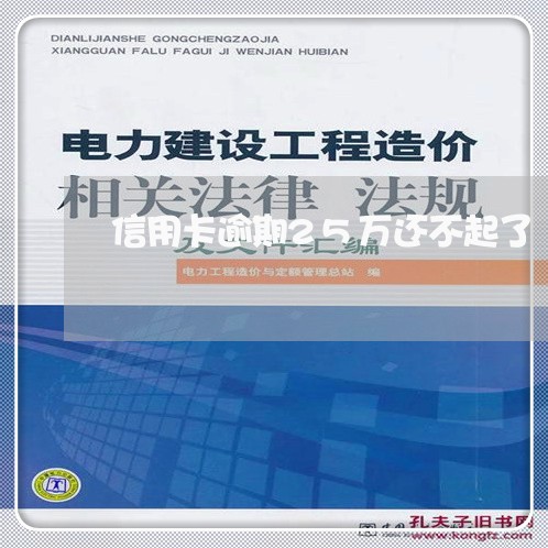 信用卡逾期25万还不起了/2023020504970