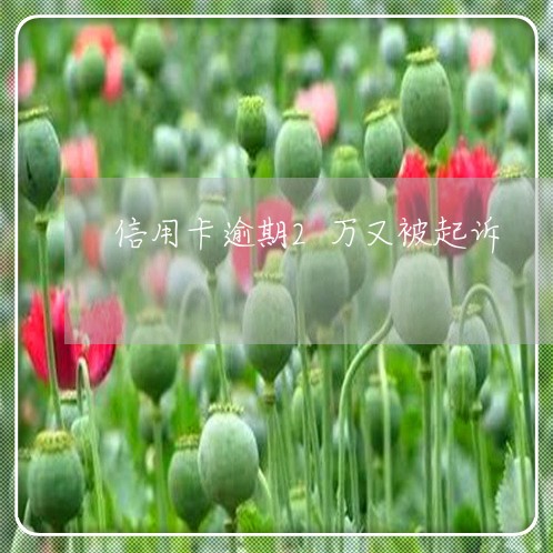信用卡逾期2万又被起诉 信用卡逾期2万又被起诉