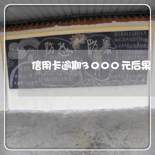 信用卡逾期3000元后果/2023060309726