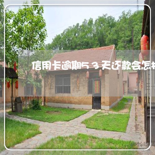 信用卡逾期53天还款会怎样/2023022501726 信用卡逾期53天还款会怎样/2023022501726