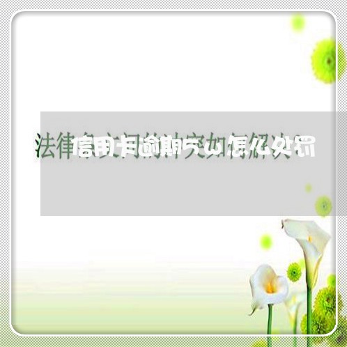 信用卡逾期5w怎么处罚 信用卡逾期5w怎么处罚