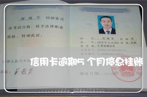 信用卡逾期5个月停息挂账 信用卡逾期5个月停息挂账