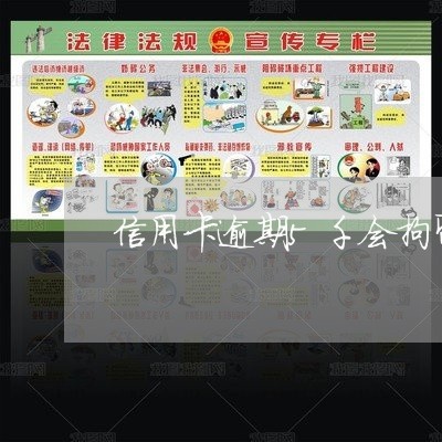 信用卡逾期5千会拘留吗 信用卡逾期5千会拘留吗
