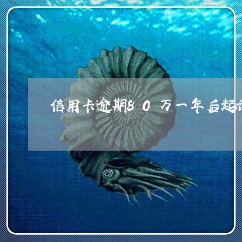 信用卡逾期80万一年后起诉/2023060506147