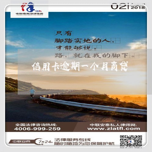 信用卡逾期一个月商贷/2023033161815