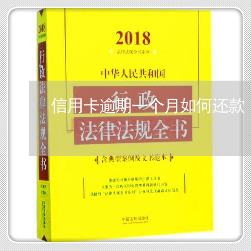 信用卡逾期一个月如何还款/2023062014039