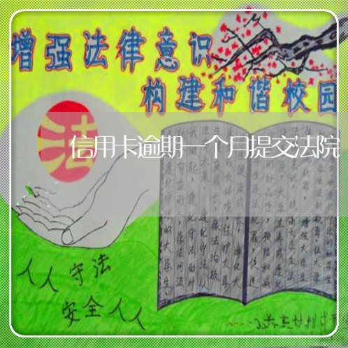 信用卡逾期一个月提交法院/2023041274947