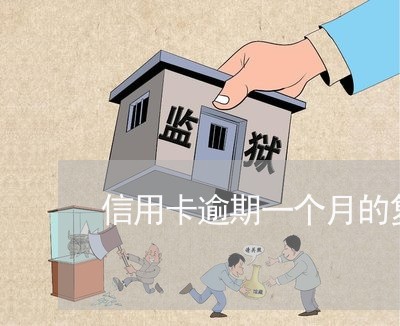 信用卡逾期一个月的复利/2023022793894 信用卡逾期一个月的复利/2023022793894