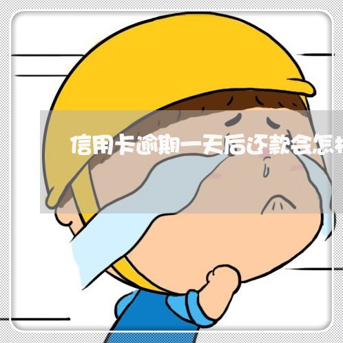 信用卡逾期一天后还款会怎样