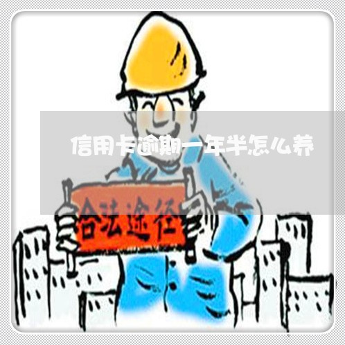 信用卡逾期一年半怎么养
