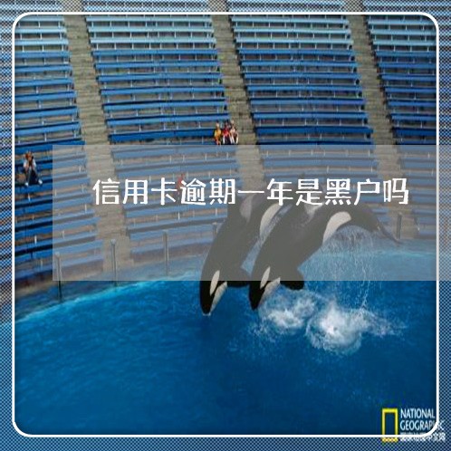 信用卡逾期一年是黑户吗 信用卡逾期一年是黑户吗