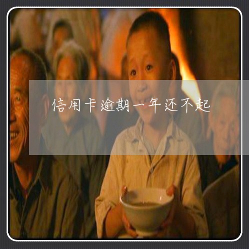 信用卡逾期一年还不起 信用卡逾期一年还不起