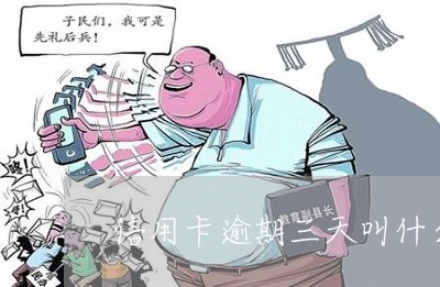 信用卡逾期三天叫什么/2023061447258 信用卡逾期三天叫什么/2023061447258