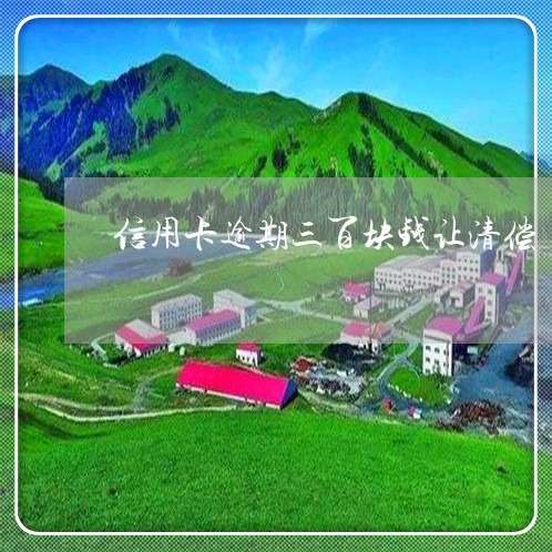 信用卡逾期三百块钱让清偿