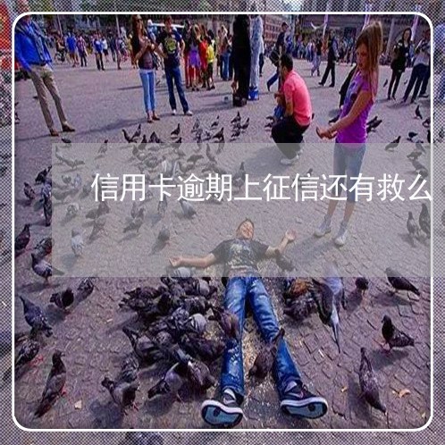 信用卡逾期上征信还有救么 信用卡逾期上征信还有救么