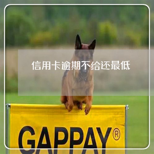 信用卡逾期不给还最低/2023061616179