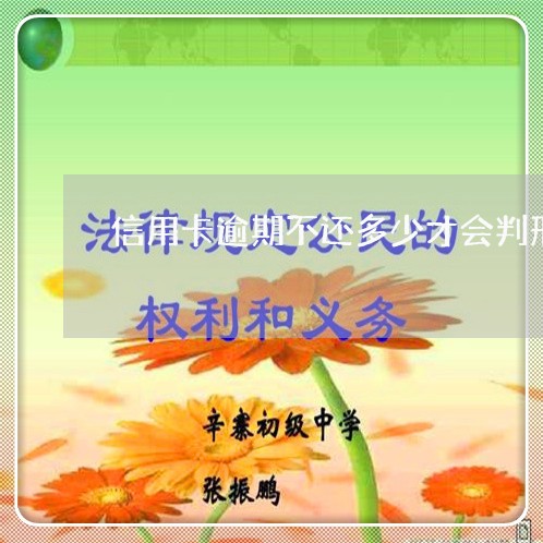 信用卡逾期不还多少才会判刑呢/2023061906260