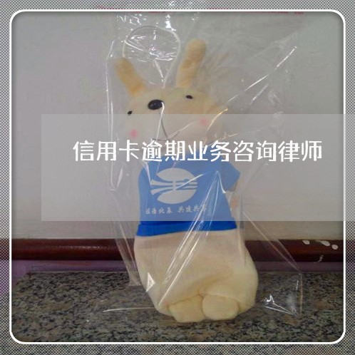 信用卡逾期业务咨询律师/2023030248281 信用卡逾期业务咨询律师/2023030248281