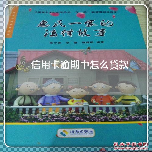 信用卡逾期中怎么贷款/2023061731470
