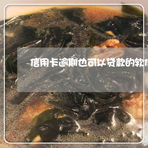 信用卡逾期也可以贷款的软件 信用卡逾期也可以贷款的软件