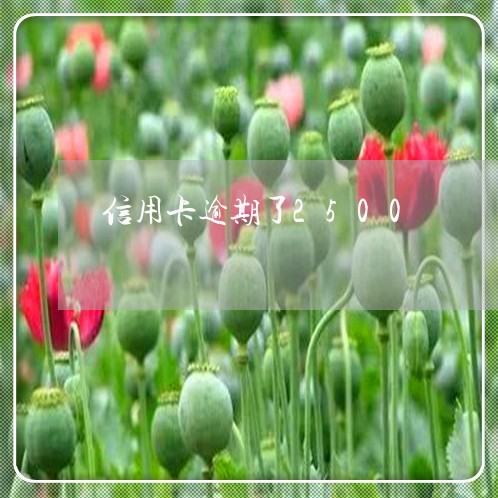 信用卡逾期了2500 信用卡逾期了2500