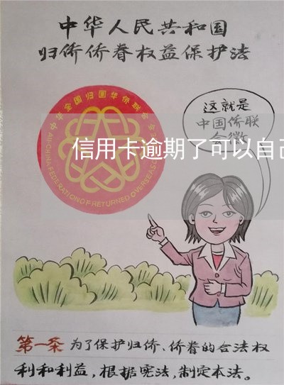 信用卡逾期了可以自己协商吗/2023022846461 信用卡逾期了可以自己协商吗/2023022846461