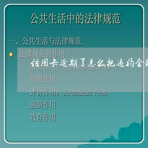 信用卡逾期了怎么把违约金免掉/2023110201526