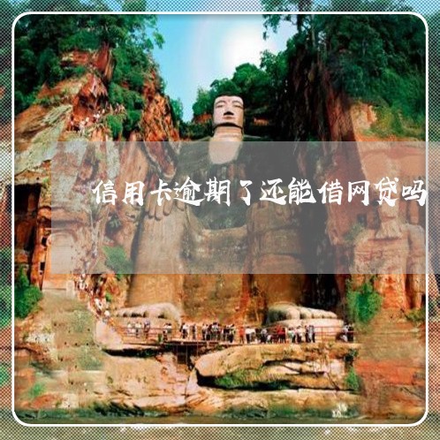 信用卡逾期了还能借网贷吗 信用卡逾期了还能借网贷吗