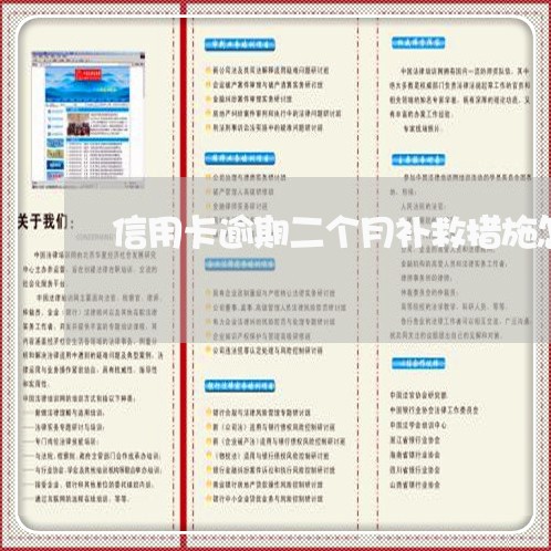 信用卡逾期二个月补救措施怎么写/2023060597163