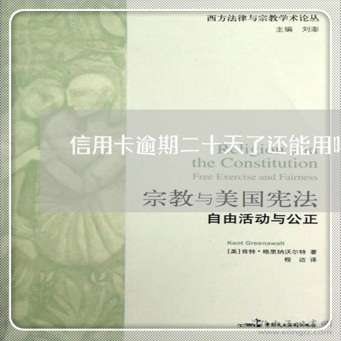 信用卡逾期二十天了还能用吗 信用卡逾期二十天了还能用吗