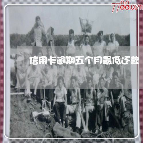 信用卡逾期五个月最低还款 信用卡逾期五个月最低还款