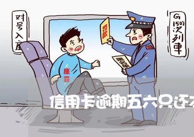 信用卡逾期五六只还本金