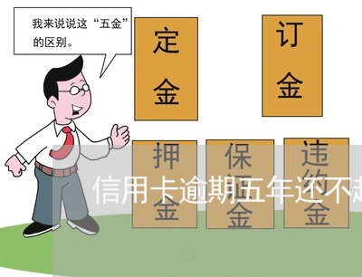 信用卡逾期五年还不起了怎么办 信用卡逾期五年还不起了怎么办